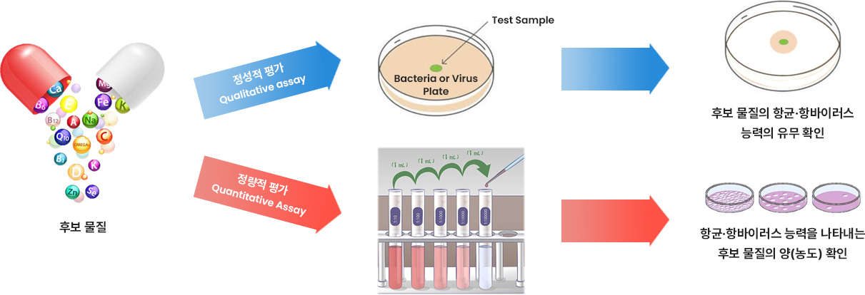 항균 · 항바이러스 평가