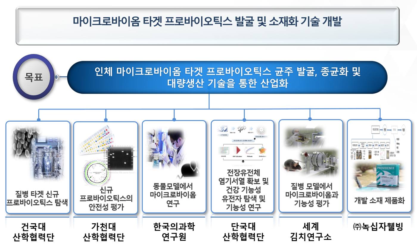 한국의과학연구원의 과제참여